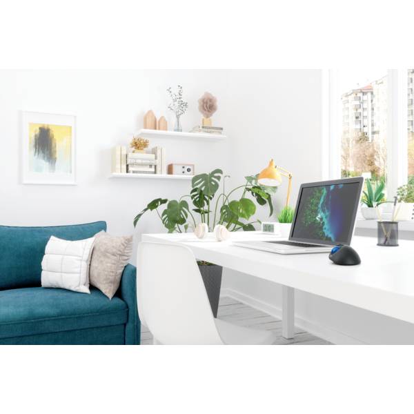Modern, bright workspace with a laptop, plants, and decorations. A blue sofa and a white table complement the room.