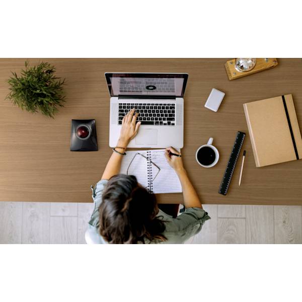 A person is working on a laptop at a desk. A coffee cup, a notebook, and a plant are sitting on the table.