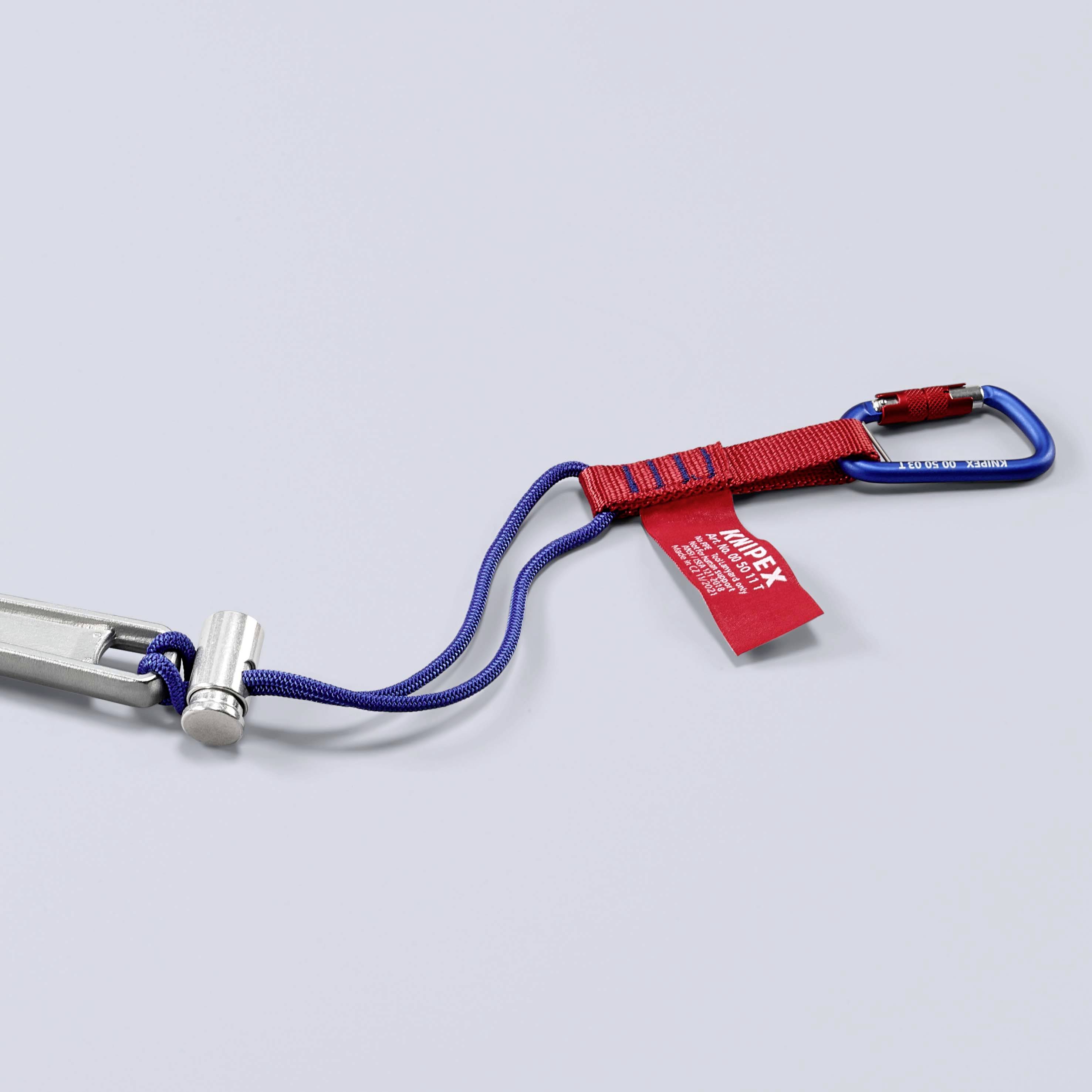 Climbing Equipment: A silver wedge with a blue sling and red carabiner.