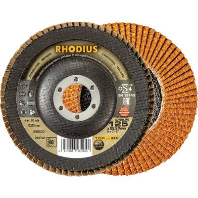 'RHODIUS Fan Grinding Disc, max. 12,260 rpm, 125 x 22.23 mm, EN 13743, for metal machining, coarse grain, long-lasting.'