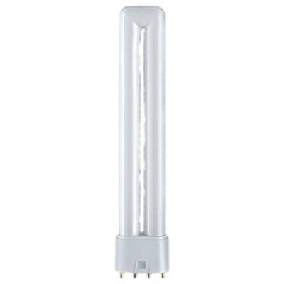 An energy-saving lamp with four pin contacts. It has an elongated, white shape with a compact base.