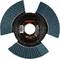 Grinding disc 'RHODIUS Vision Pro 125 x 22.23'. Shows the structure and layout of the grinding lamellae with a central label.