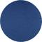 Simple blue circle on a white background.