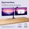 Two monitors on a desk, mounted on a stand. The left screen displays a landscape, the right screen shows a table.