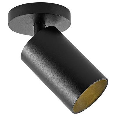 Black cylindrical ceiling light with a rotatable head, for interior lighting.