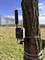 A camouflage-styled wildlife camera is attached to a tree. It is situated on a grassy area with trees in the background under a blue sky.