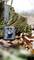 Wildlife camera with camouflage pattern, mounted on foliage, with tree trunk in the background. It is used for monitoring wildlife in natural habitats.