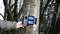 A hand is attaching a wildlife camera with an aerial to a tree trunk in a forest. The camera is powered by blue batteries.