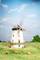 A miniature model of a windmill stands on a meadow, surrounded by four small cows. The sky is blue with a few clouds.