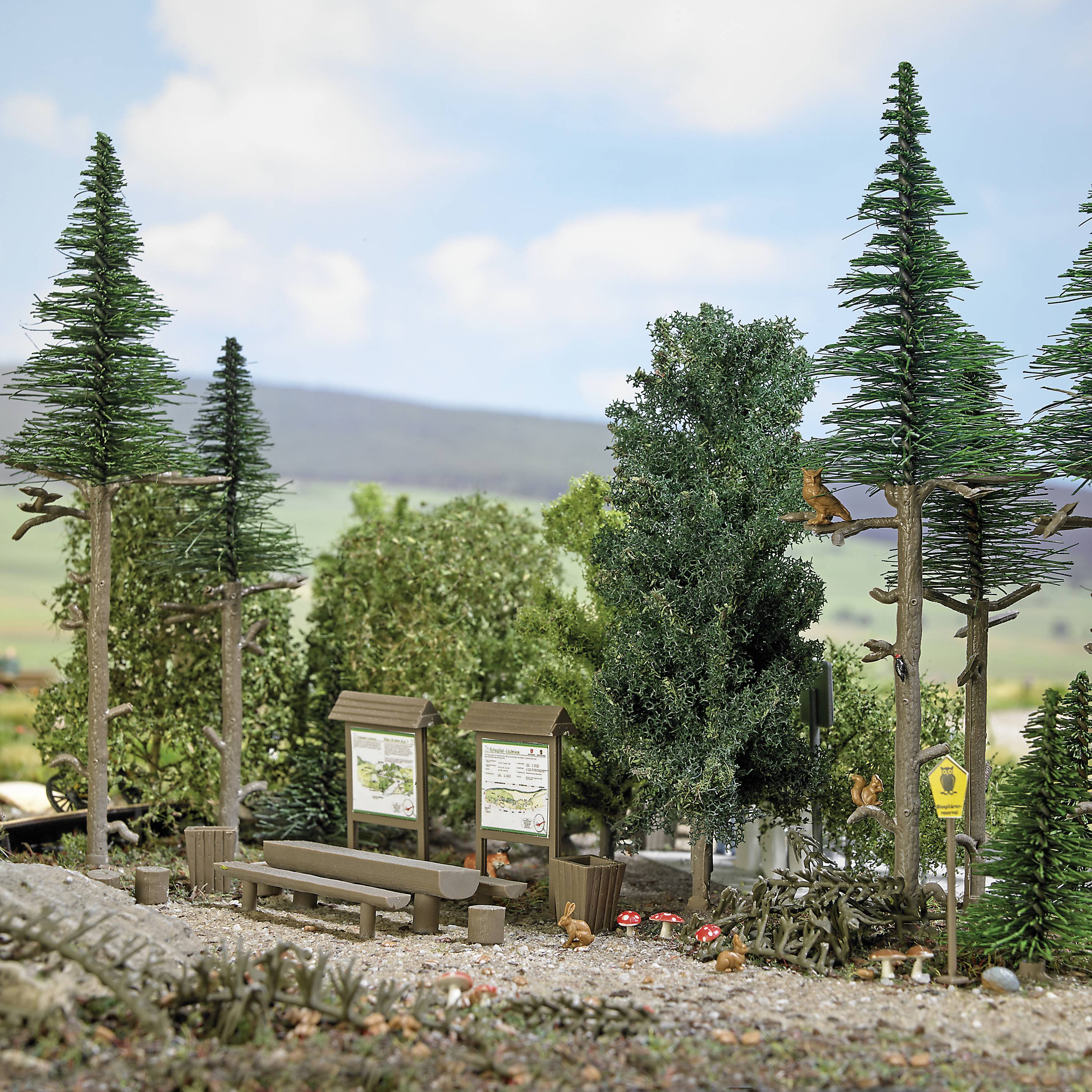 A miniature woodland section with tall trees, a picnic table and information boards. The scenery appears relaxing and peaceful.