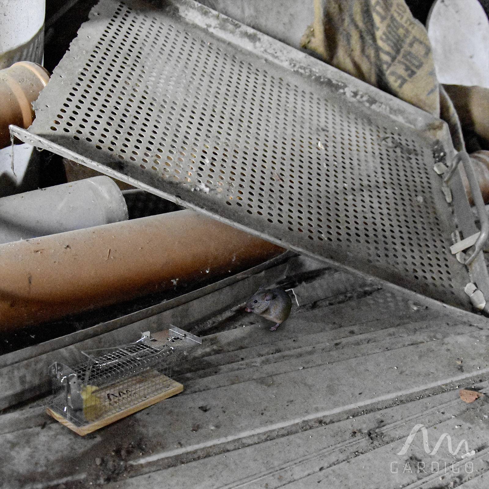 An old, rusty sieve on a wooden floor amongst other metal parts.