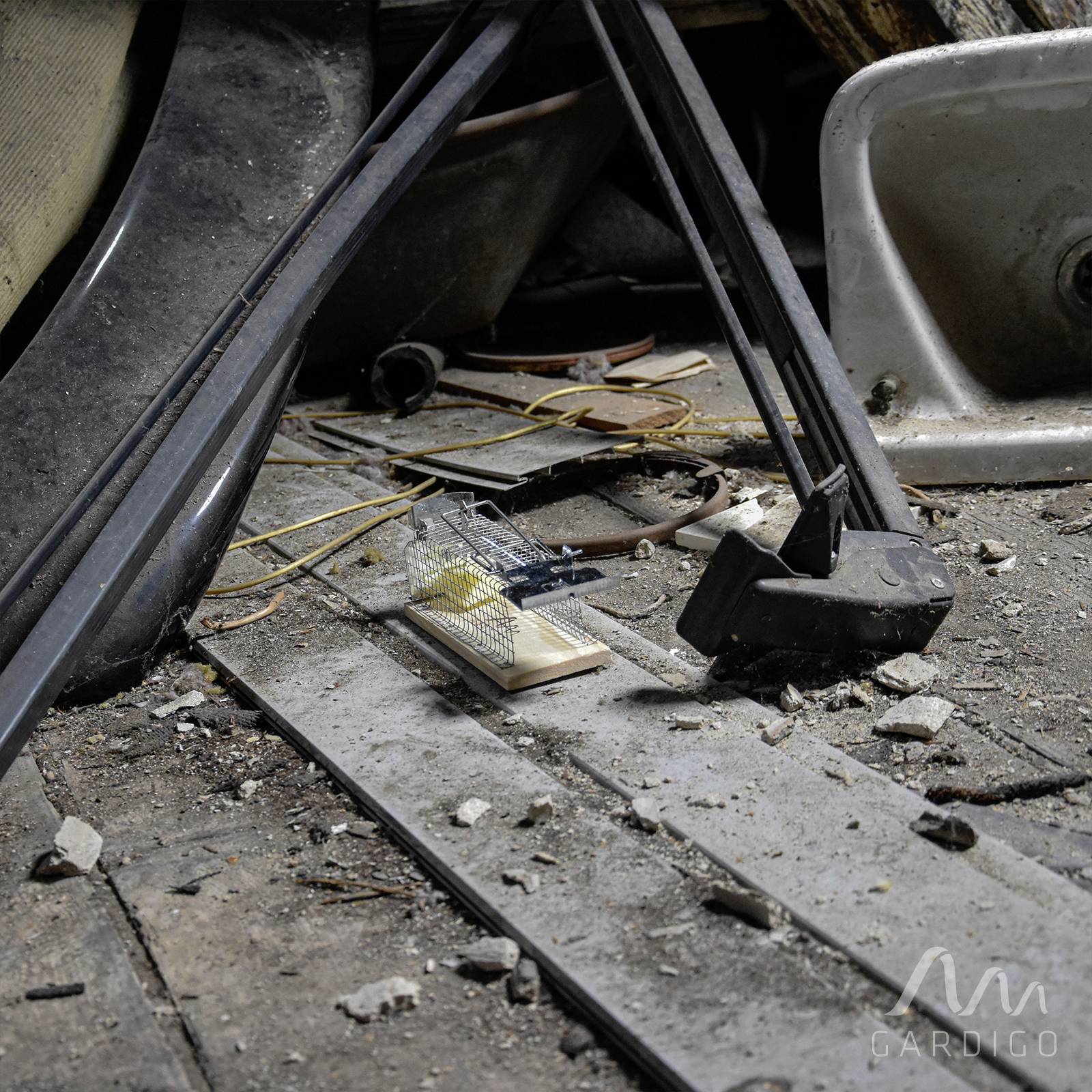 A rat trap sits on a dirty floor amidst dust and rubbish, surrounded by old objects.