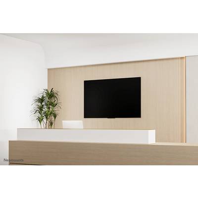 Reception desk in a modern office, with a plant to the left and a large wall-mounted screen above the counter.