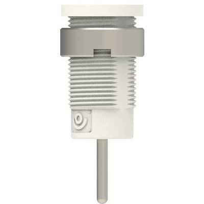 Electro PJP 3267-C-CD1-BC Safety socket Pin diameter: 1.9 mm White 1 pc(s) Single-0