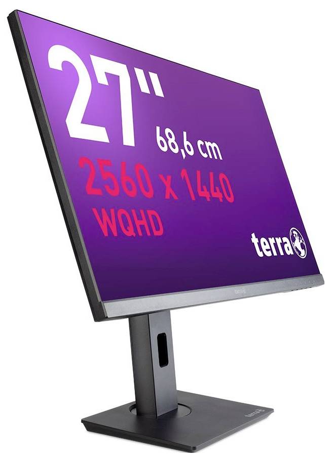 A 27-inch WQHD monitor with a resolution of 2560 x 1440 pixels. The screen is mounted on a pivoting stand.