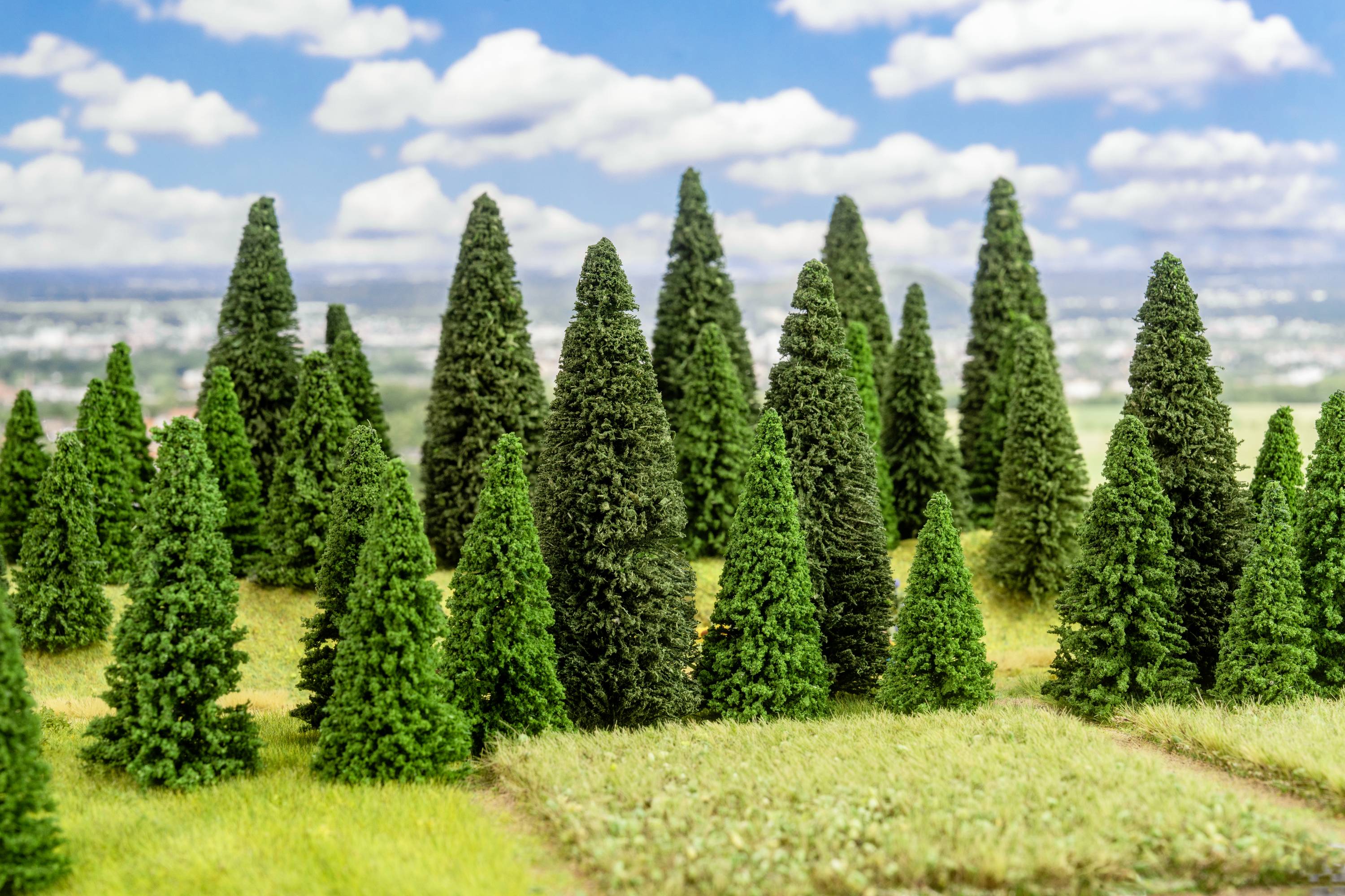 Several small model trees on a meadow, with a blue sky and white clouds in the background, scene from a miniature park.