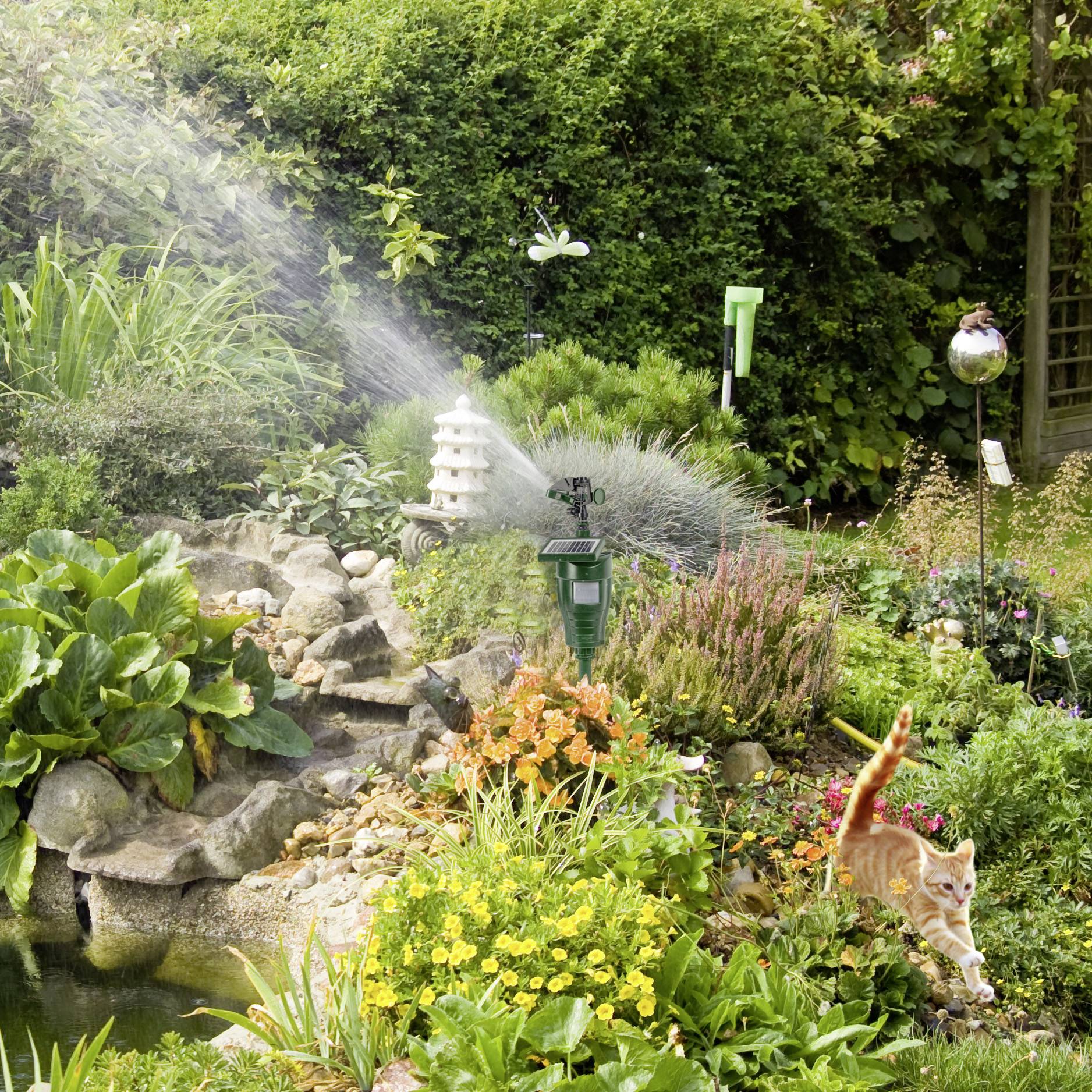 A sprinkler is watering a green garden with various plant species, while a cat stands curiously in the foreground.