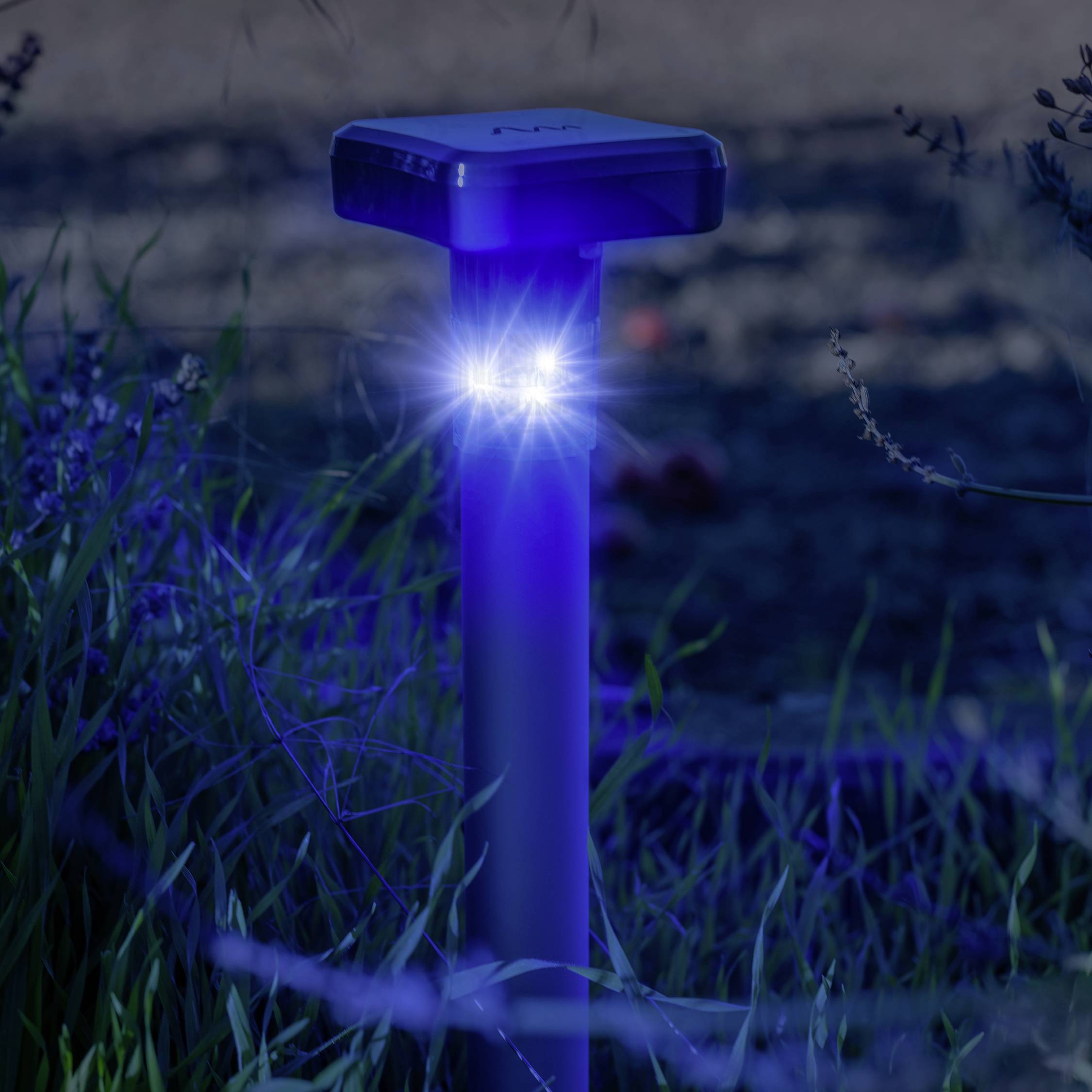 A pillar-shaped light shines brightly in the twilight, surrounded by grass. It looks futuristic and serves to illuminate the pathway.