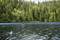 A person is fishing in a boat on a lake, surrounded by dense, green trees. A fish leaps out of the water in the foreground.