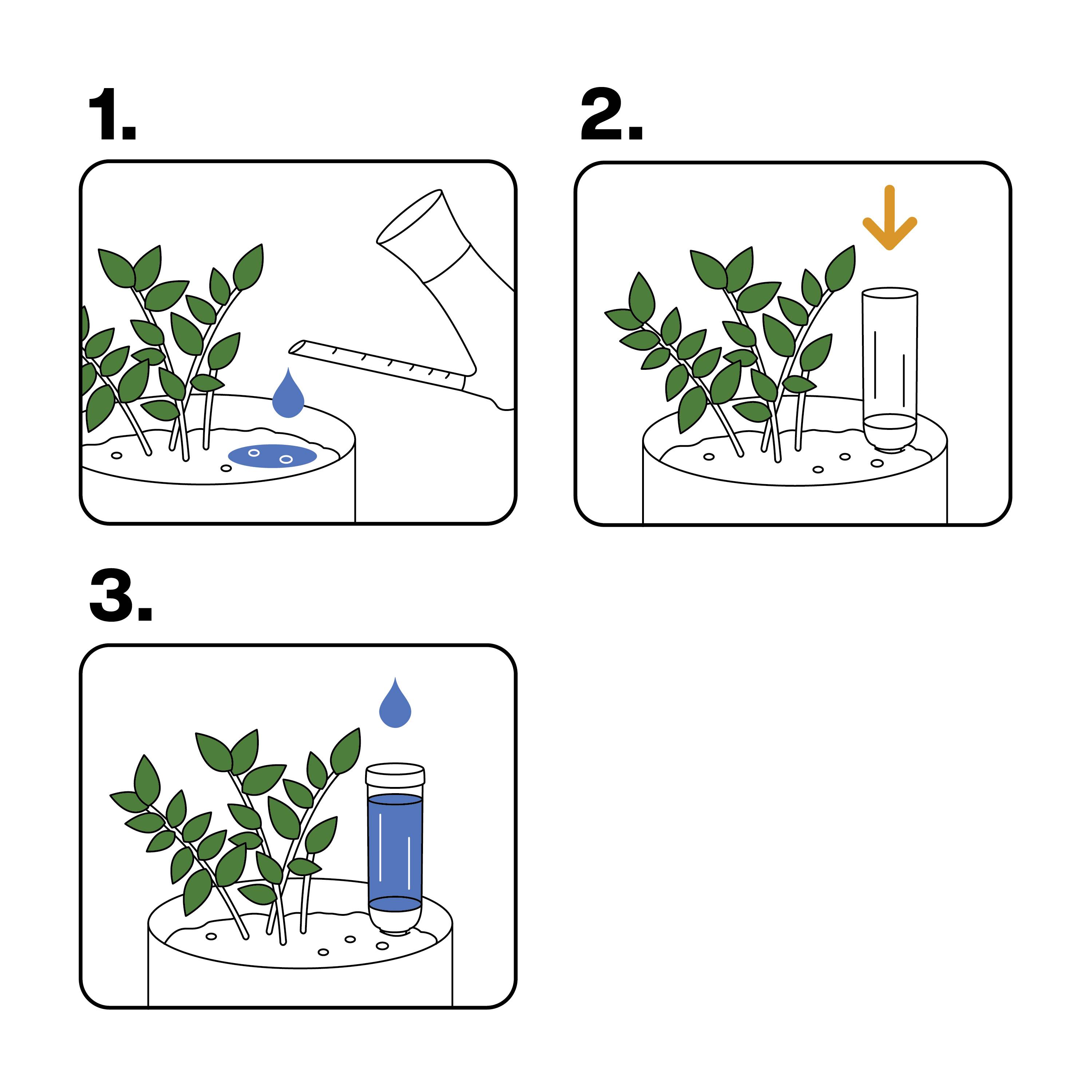 Three Steps for Plant Watering: 1. Pour water into soil. 2. Arrow indicates inserting bottle upside down. 3. Water drips from the bottle.