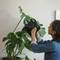A person is holding a black rucksack in their hand, standing next to a large indoor plant.