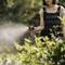 A person is watering plants in the garden during the day with a hosepipe, with water mist hovering in the air.