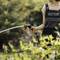 A person in dungarees is watering plants in the garden with a hosepipe while the sun is shining.