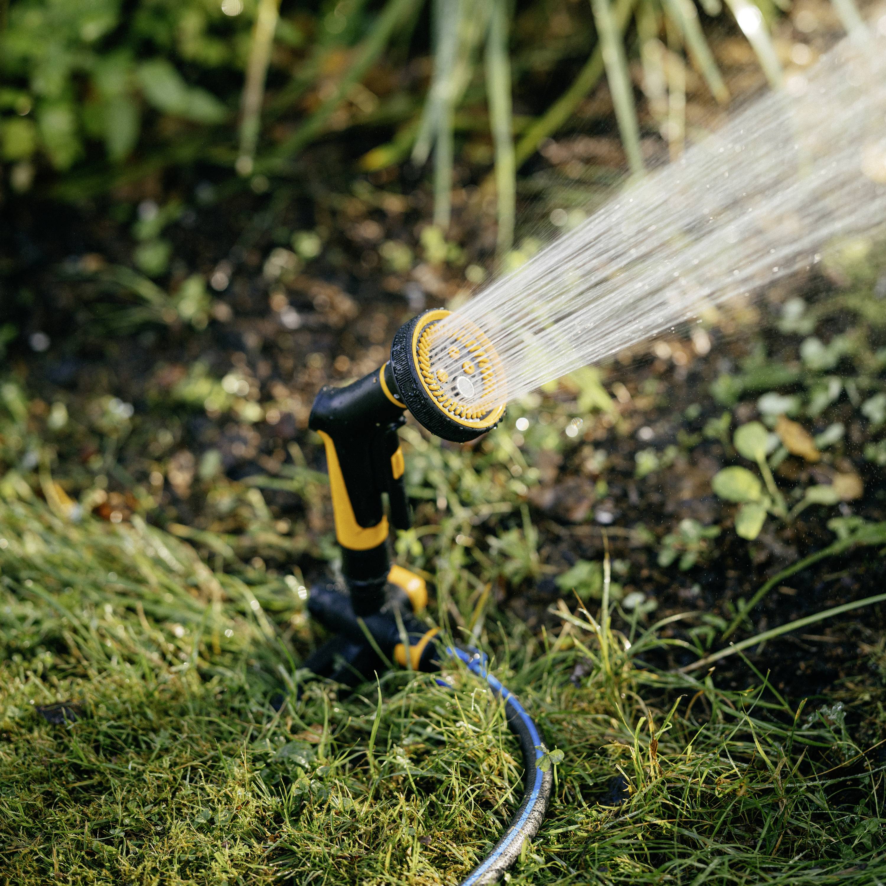 A garden hose with a spray nozzle waters green grass in the garden. The background shows plants on the ground.