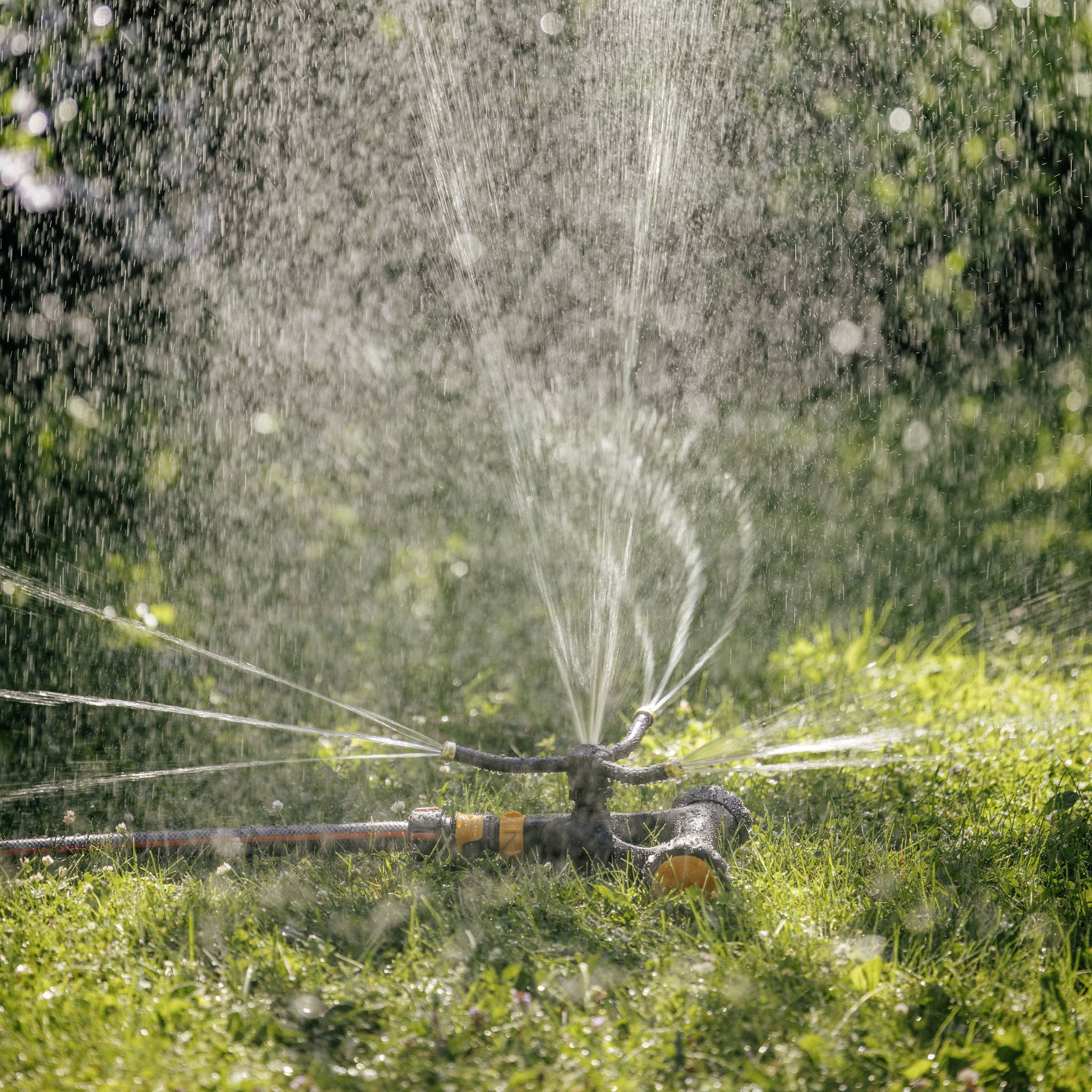 A lawn sprinkler waters green grass in the sunshine. Water droplets fly in all directions and glisten in the light.