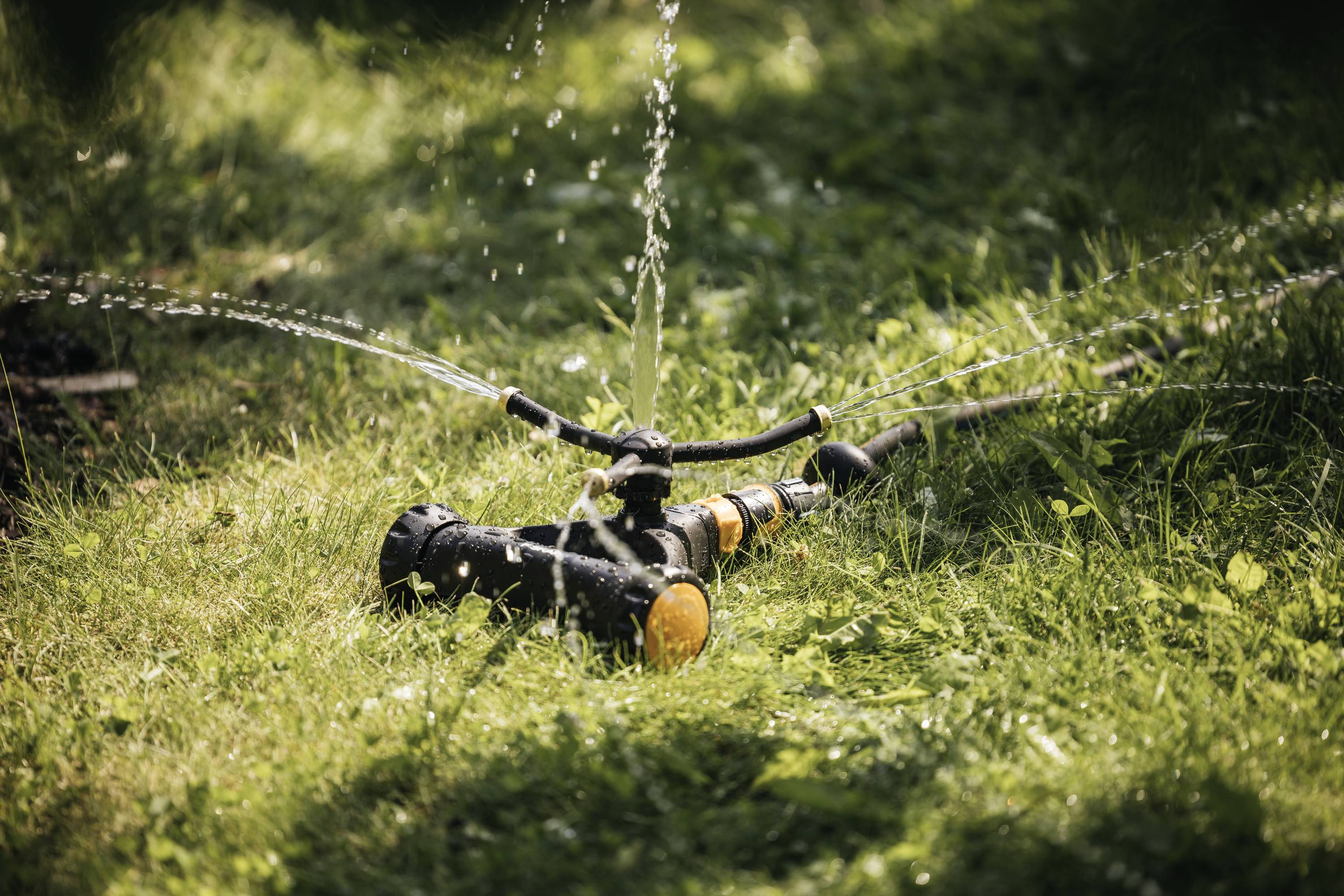 A lawn sprinkler waters green grass in sunshine, water jets spray in different directions and dampen the surroundings.
