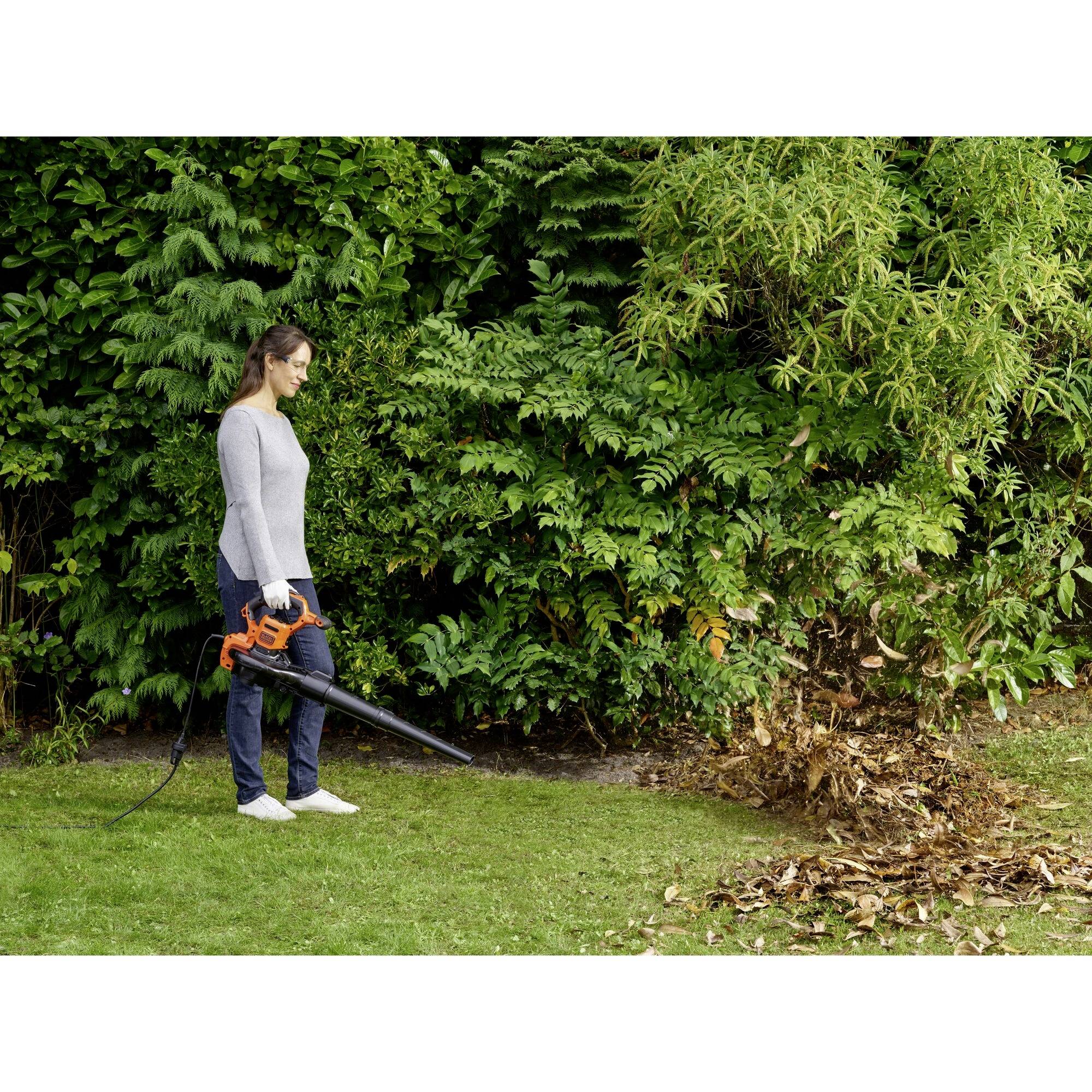 A person is using a leaf blower to blow leaves from a lawn into a pile in front of a green hedge.
