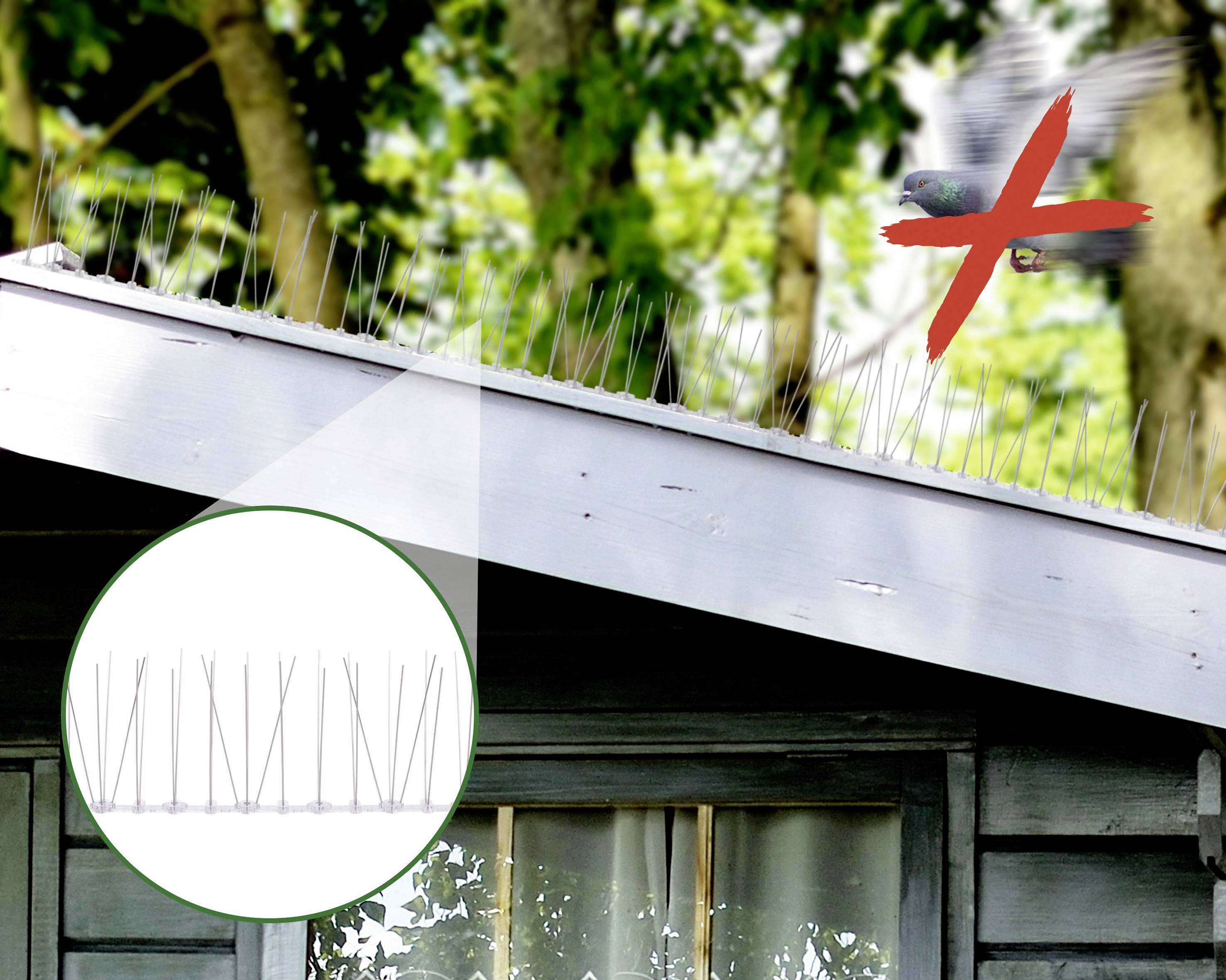 A shed with anti-pigeon spikes on the roof. A flying bird with a red 'X' above it, symbolising deterrence.