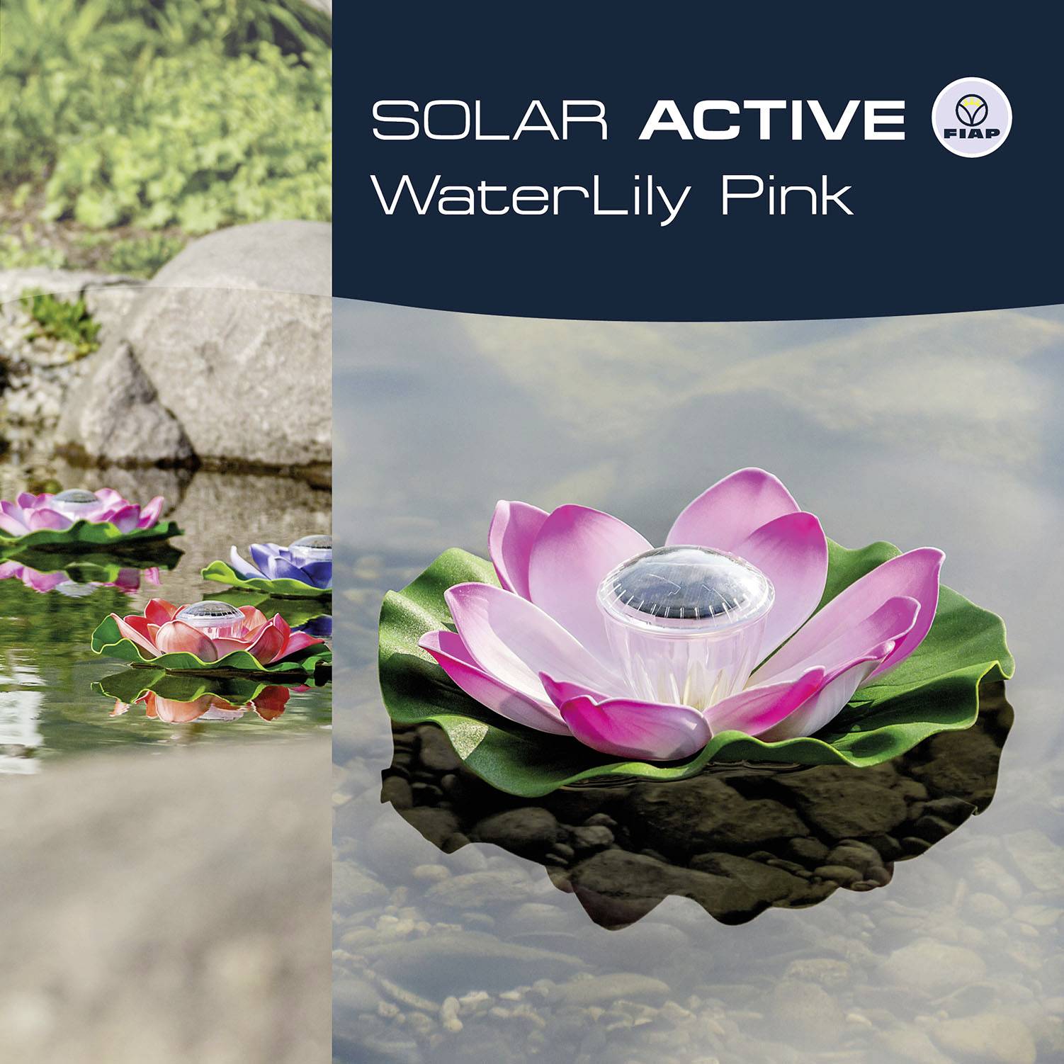 A pink, solar-powered water lily light floats on a pond, surrounded by green leaves and other colourful water lilies.
