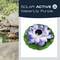 'SOLAR ACTIVE Water Lily Purple' Floating solar lamp in water lily shape on water surface with purple petals and green leaf.
