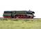 A green steam locomotive with red wheels on tracks, surrounded by grass. It is intricately modelled and appears to be scale-sized.