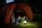 Two children are lying in an open tent on a meadow in the evening, reading by lantern light. The scene appears peaceful and cozy.