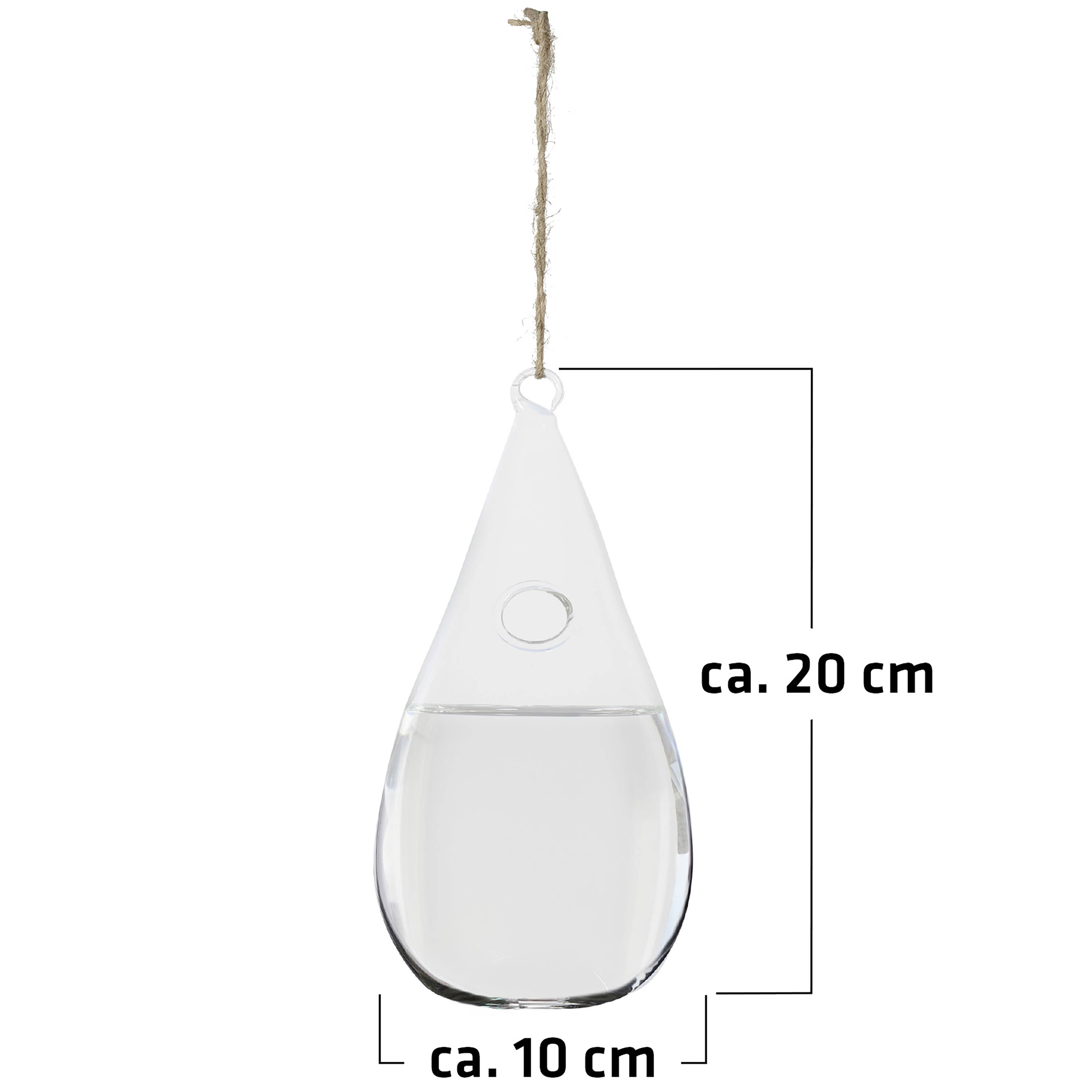 Gardigo 66900INT Fly trap (W x H) 100 mm x 200 mm 1 pc(s)-6