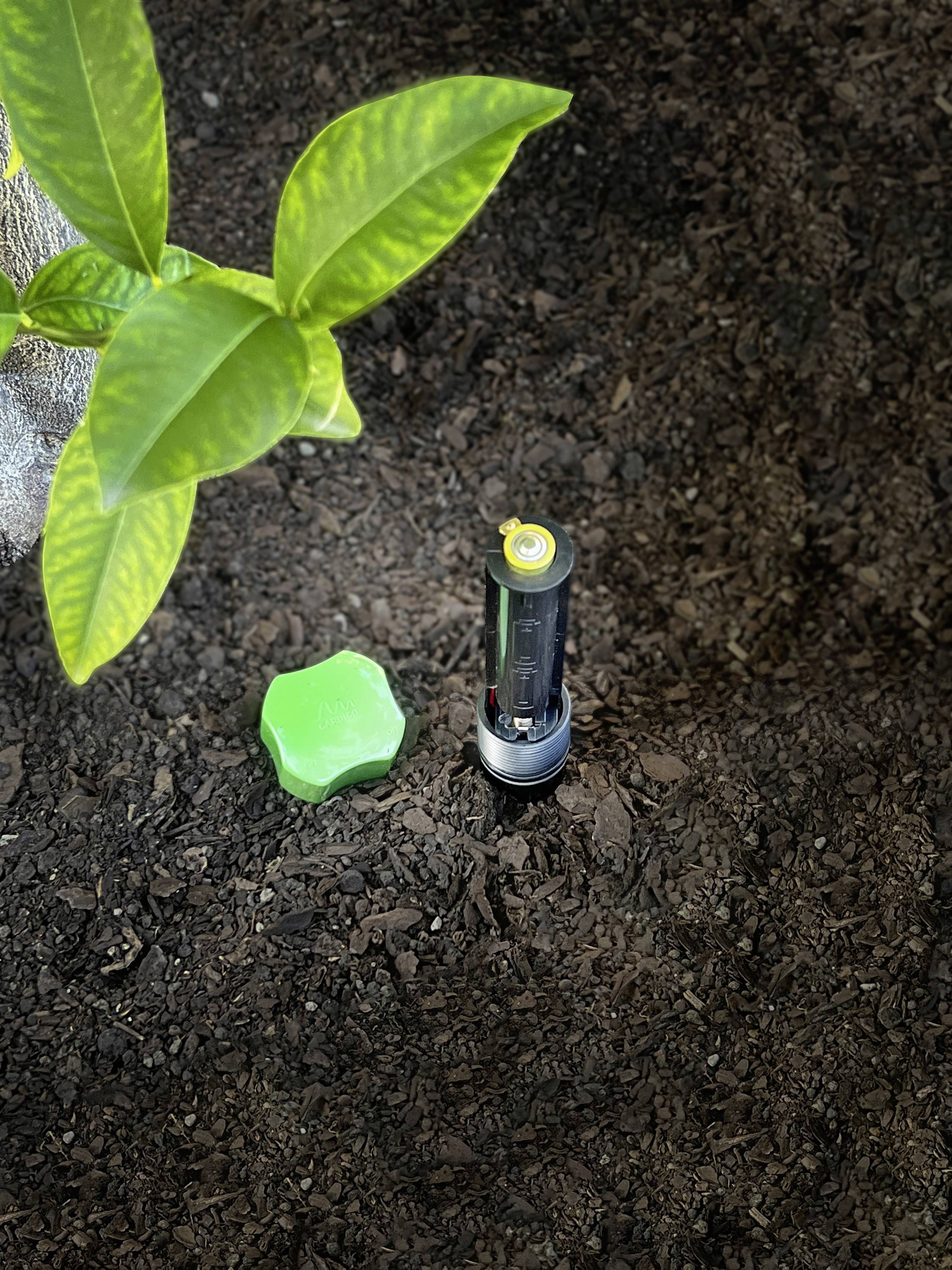 Gardigo Arvicolinae repeller 1 pc(s)-3