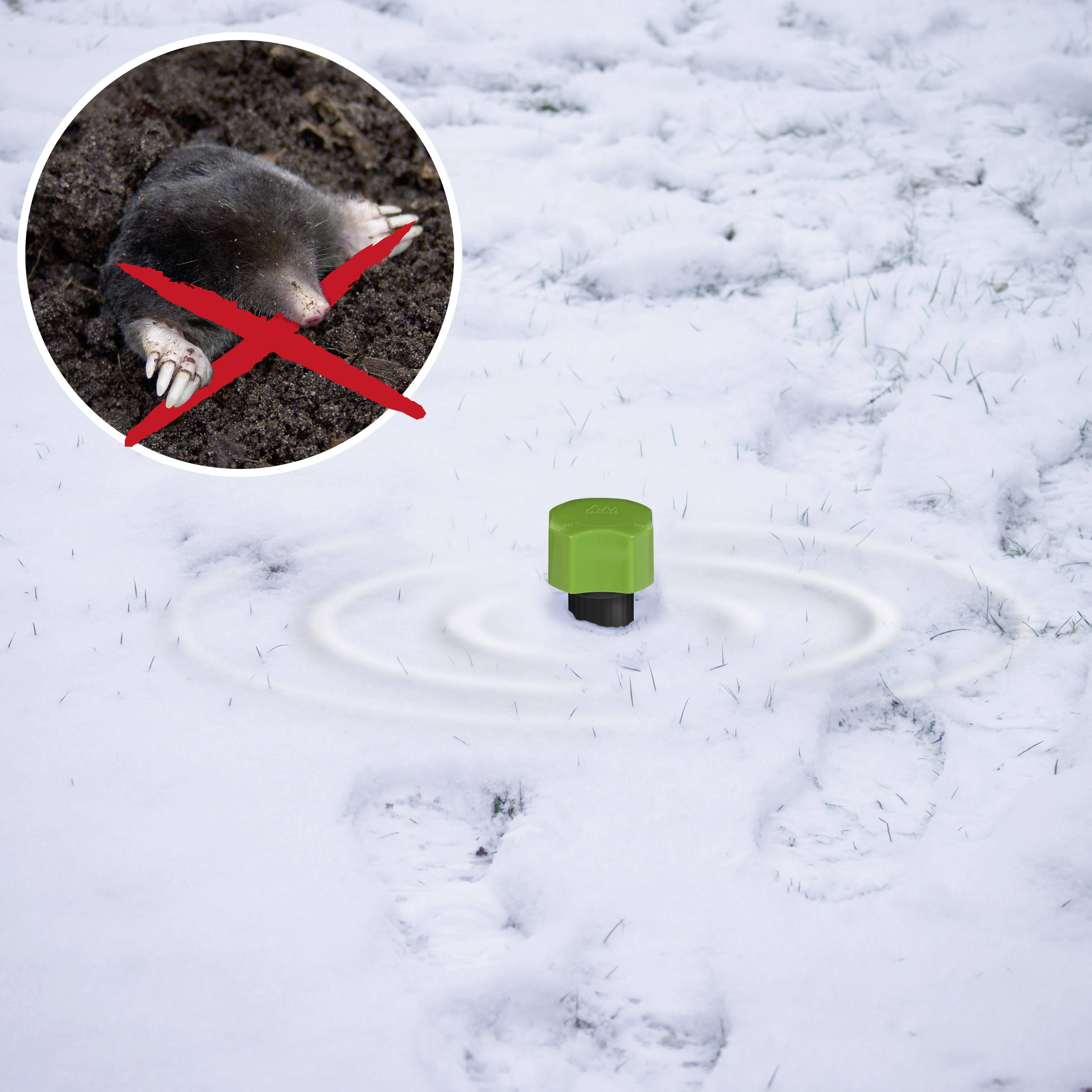 Gardigo Arvicolinae repeller 1 pc(s)-5