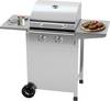Profi Cook PC-GG 1309 Gas Gas grill 2 burners Silver