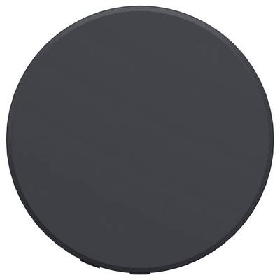 Dark gray circular object with a slight notch at the bottom, shown on a white background.