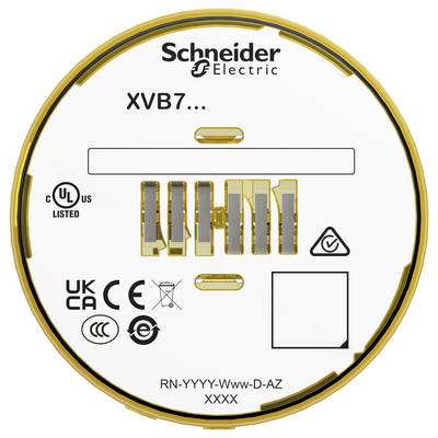 Schneider Electric XVB7 device label showing certification marks, model code 'RN-YYYY-Www-D-AZ XXXX', and connector/contact diagram.