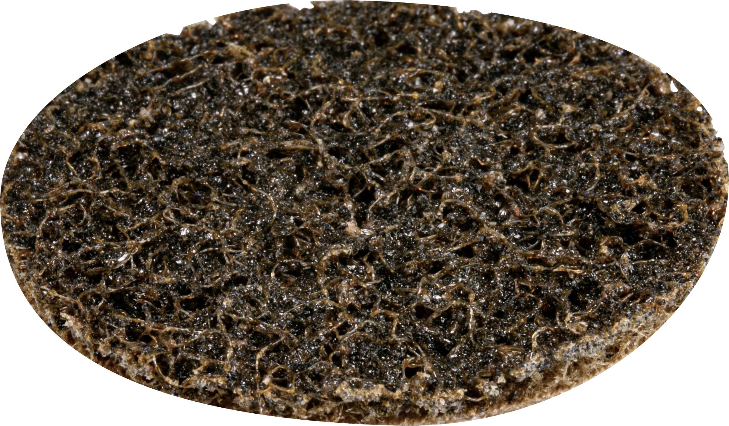 Makita E-07484 Makita fleece disc hard-fine 50mm E-07484 25 PCs 50 mm 25 pc(s)-0