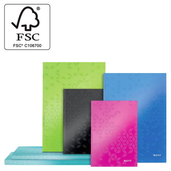 Leitz 46261051 Notebook Squared Ice blue No. of sheets: 80 A4-4