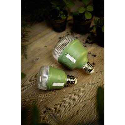 OSRAM HOMELIGHTING 4058075845787 Grow light E-27 10 W 1 pc(s)-4