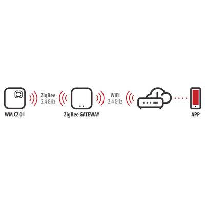 Diagram showing ZigBee C1 2.4 GHz devices connecting to a ZigBee gateway, which links to Wi‑Fi 2.4 GHz, a cloud router, and a phone app.