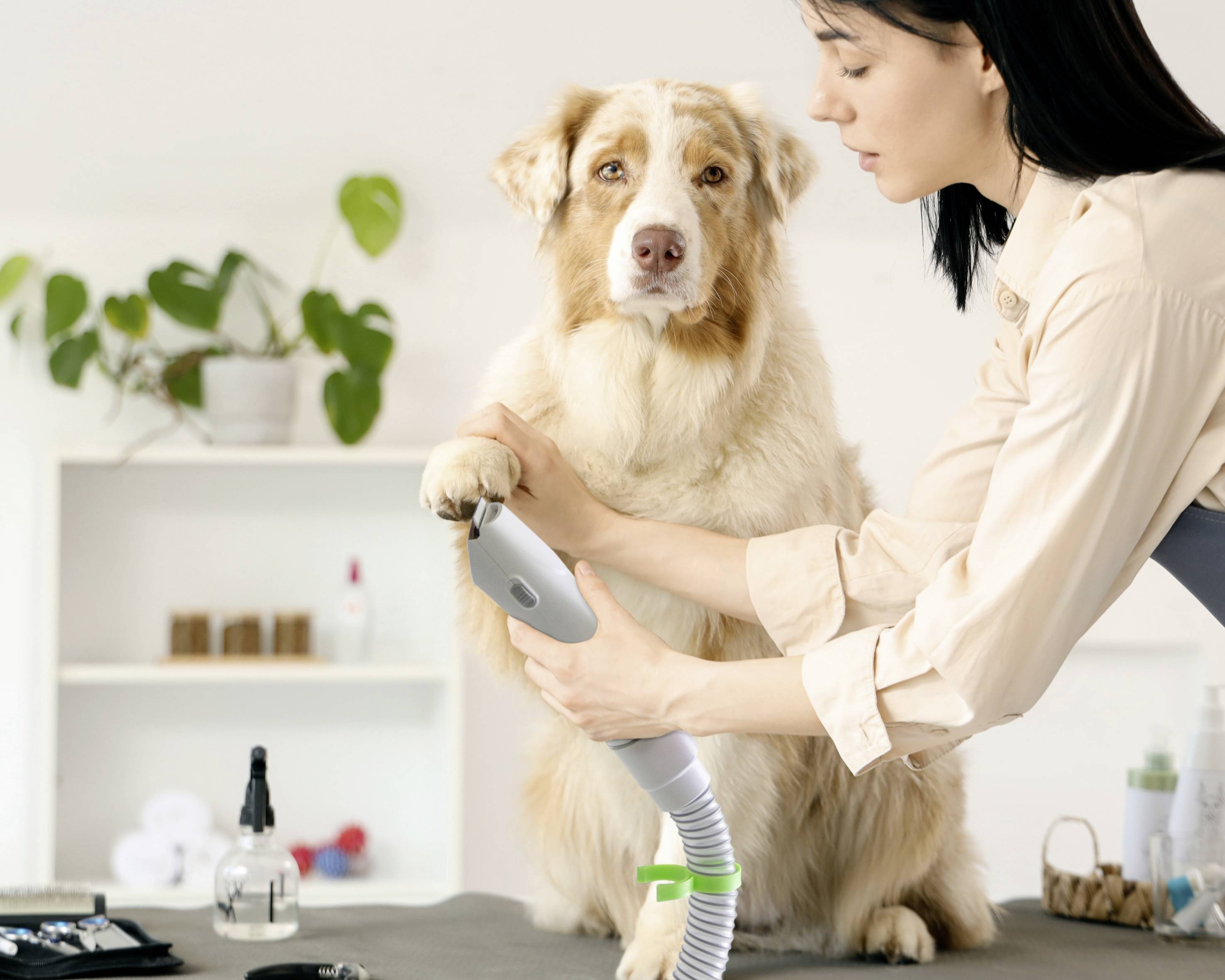 Lifenaxx LX-052 Pet care set White, Green 1 pc(s)-5