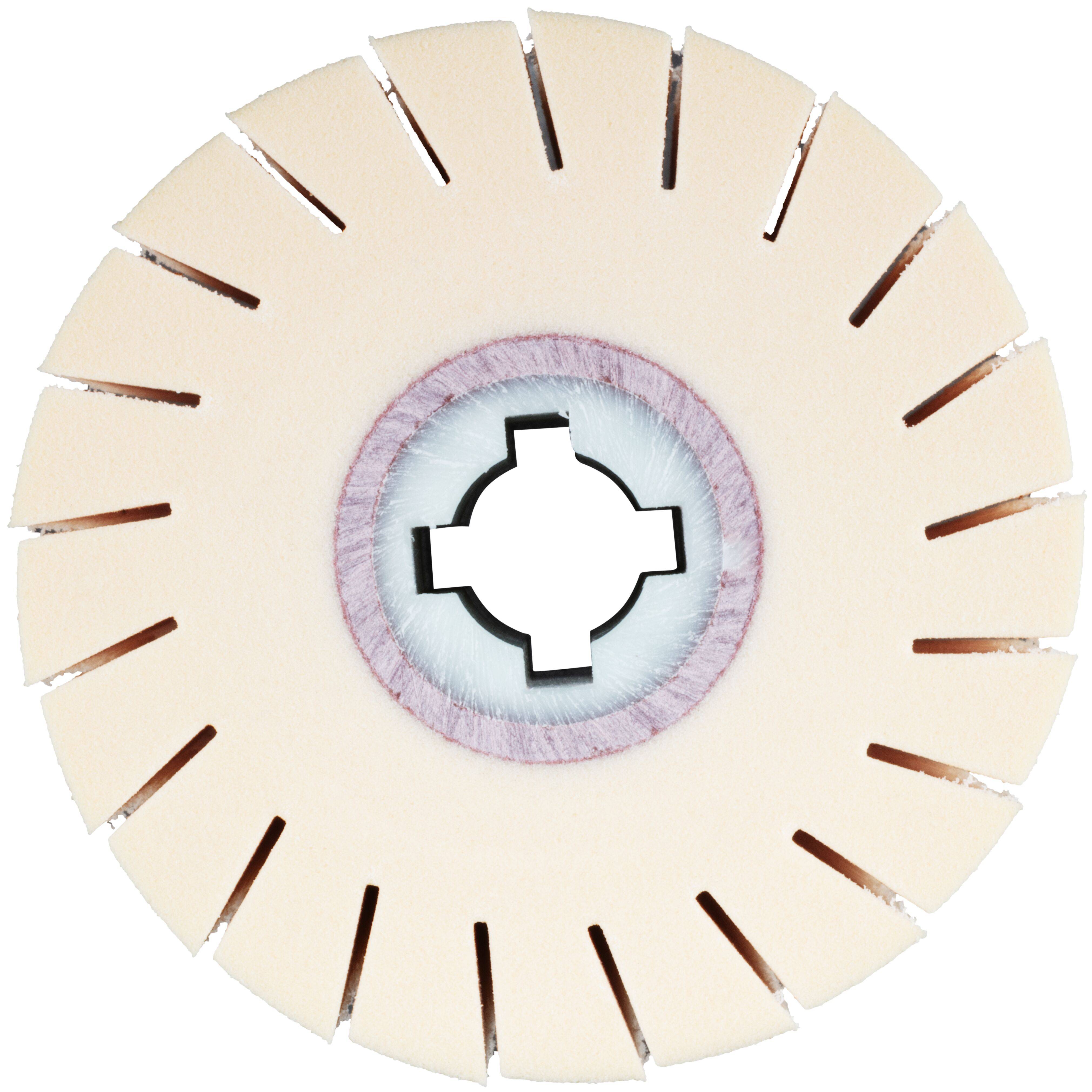 A beige, round gear-like object with evenly spaced notches around the edge and a star-shaped hole in the center.