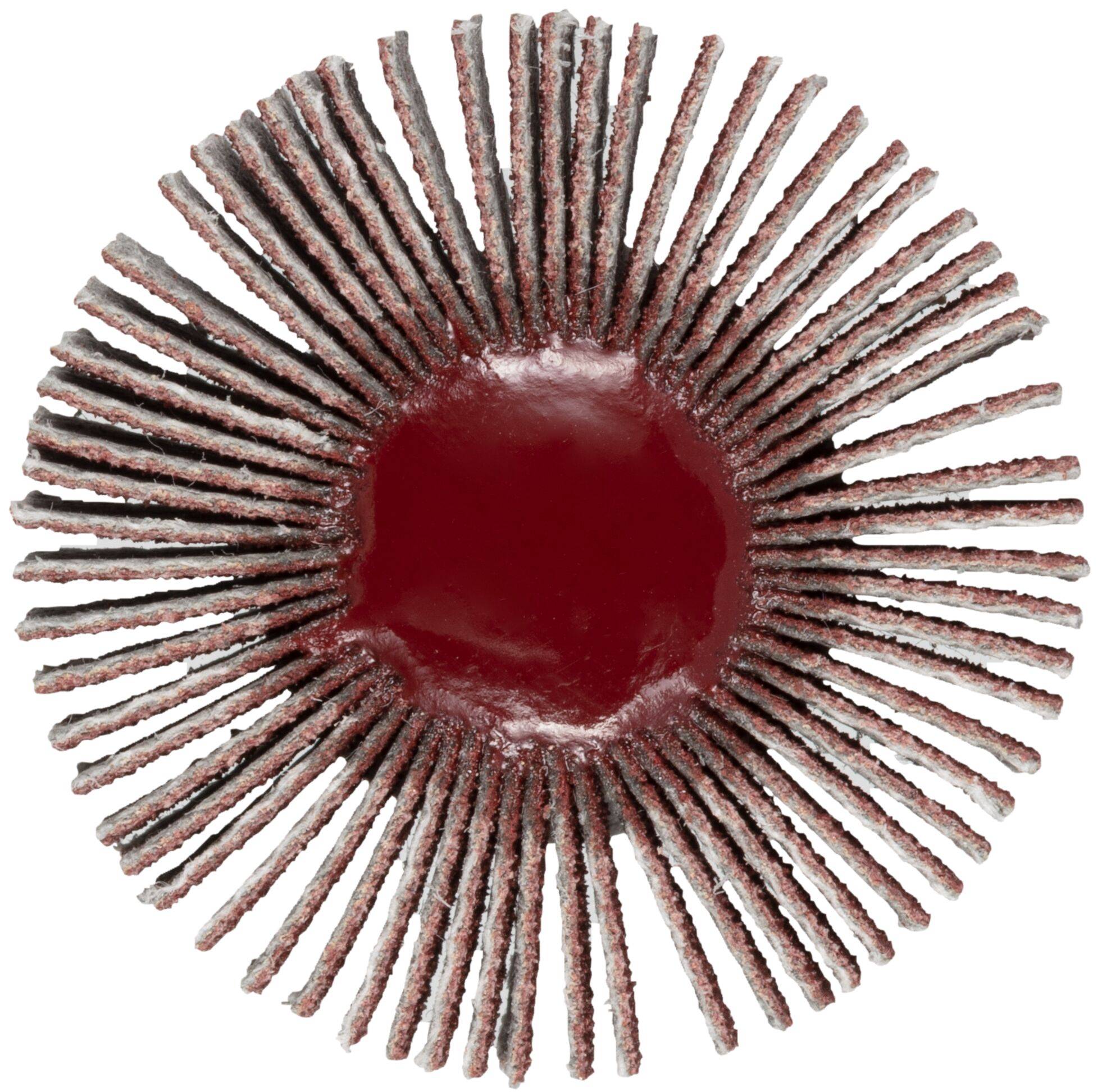 A red circular object with radiating, evenly spaced brown spokes resembling a stylized sunburst.