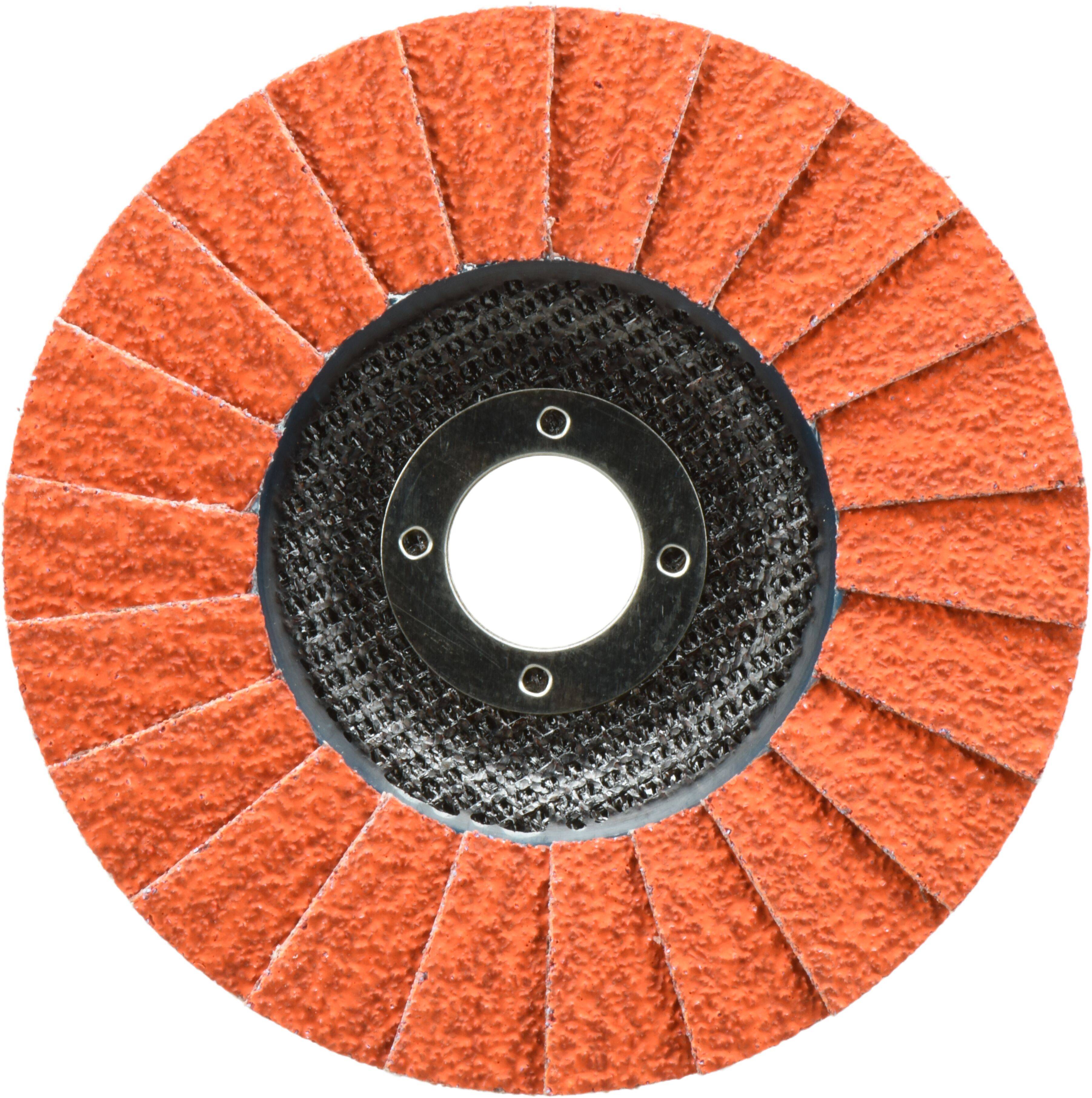 LUKAS-ERZETT A67491250401466 Flap disc Diameter 125 mm Grit size=40 10 pc(s)-2